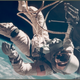 Image for article titled 15 Rare Images From NASA's First Decades of Space Exploration